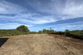 Moinho histórico com vista panorâmica a 5 minutos de Óbidos Moinho histórico com vista panorâmica a 5 minutos de Óbidos