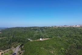Moinho histórico com vista panorâmica a 5 minutos de Óbidos Moinho histórico com vista panorâmica a 5 minutos de Óbidos