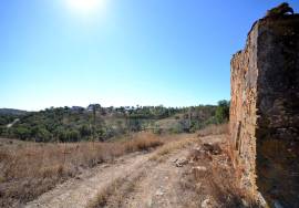 Ruins for Reconstruction with Open Views Ruins for Reconstruction with Open Views