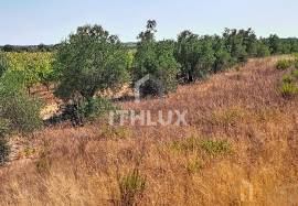 Rustic land in Montoito