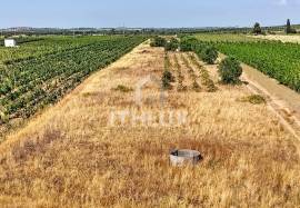 Rustic land in Montoito