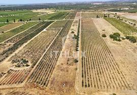 Rustic land in Montoito