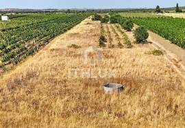 Rustic land in Montoito