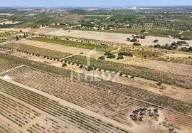 Rustic land in Montoito