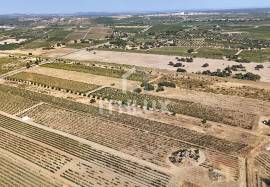 Rustic land in Montoito