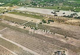 Rustic land in Montoito