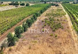 Rustic land in Montoito