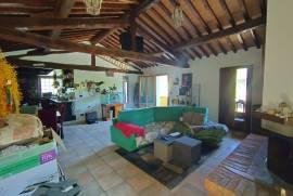 Luxury Estate & Canine Business for Sale In Terranuova Bracciolini Tuscany Italy Luxury Estate & Canine Business for Sale In Terranuova Bracciolini Tuscany Italy