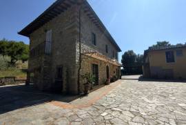 Luxury Estate & Canine Business for Sale In Terranuova Bracciolini Tuscany Italy Luxury Estate & Canine Business for Sale In Terranuova Bracciolini Tuscany Italy