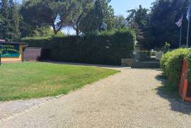 Luxury Estate & Canine Business for Sale In Terranuova Bracciolini Tuscany Italy Luxury Estate & Canine Business for Sale In Terranuova Bracciolini Tuscany Italy