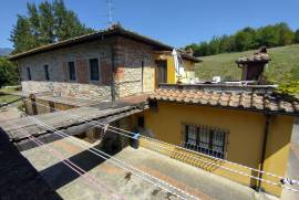 Luxury Estate & Canine Business for Sale In Terranuova Bracciolini Tuscany Italy Luxury Estate & Canine Business for Sale In Terranuova Bracciolini Tuscany Italy