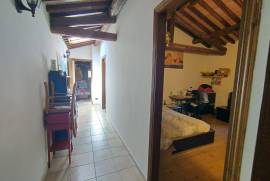 Luxury Estate & Canine Business for Sale In Terranuova Bracciolini Tuscany Italy Luxury Estate & Canine Business for Sale In Terranuova Bracciolini Tuscany Italy