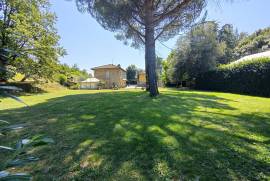 Luxury Estate & Canine Business for Sale In Terranuova Bracciolini Tuscany Italy Luxury Estate & Canine Business for Sale In Terranuova Bracciolini Tuscany Italy