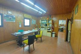 Luxury Estate & Canine Business for Sale In Terranuova Bracciolini Tuscany Italy Luxury Estate & Canine Business for Sale In Terranuova Bracciolini Tuscany Italy