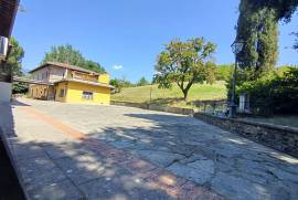 Luxury Estate & Canine Business for Sale In Terranuova Bracciolini Tuscany Italy Luxury Estate & Canine Business for Sale In Terranuova Bracciolini Tuscany Italy