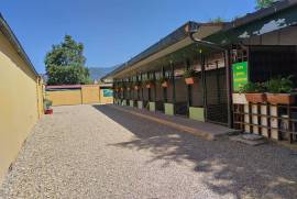 Luxury Estate & Canine Business for Sale In Terranuova Bracciolini Tuscany Italy Luxury Estate & Canine Business for Sale In Terranuova Bracciolini Tuscany Italy