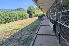 Luxury Estate & Canine Business for Sale In Terranuova Bracciolini Tuscany Italy Luxury Estate & Canine Business for Sale In Terranuova Bracciolini Tuscany Italy