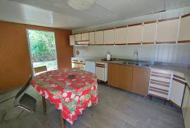 Luxury Estate & Canine Business for Sale In Terranuova Bracciolini Tuscany Italy Luxury Estate & Canine Business for Sale In Terranuova Bracciolini Tuscany Italy