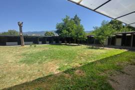 Luxury Estate & Canine Business for Sale In Terranuova Bracciolini Tuscany Italy Luxury Estate & Canine Business for Sale In Terranuova Bracciolini Tuscany Italy
