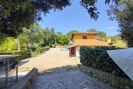 Luxury Estate & Canine Business for Sale In Terranuova Bracciolini Tuscany Italy