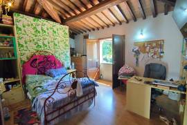 Luxury Estate & Canine Business for Sale In Terranuova Bracciolini Tuscany Italy Luxury Estate & Canine Business for Sale In Terranuova Bracciolini Tuscany Italy