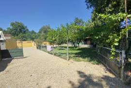Luxury Estate & Canine Business for Sale In Terranuova Bracciolini Tuscany Italy Luxury Estate & Canine Business for Sale In Terranuova Bracciolini Tuscany Italy