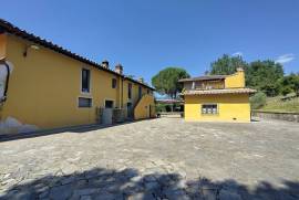 Luxury Estate & Canine Business for Sale In Terranuova Bracciolini Tuscany Italy Luxury Estate & Canine Business for Sale In Terranuova Bracciolini Tuscany Italy