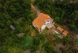 2+1 Bedroom Farm in Camacha: A Private Getaway with Unique Potential