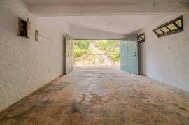 2+1 Bedroom Farm in Camacha: A Private Getaway with Unique Potential