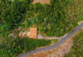 2+1 Bedroom Farm in Camacha: A Private Getaway with Unique Potential