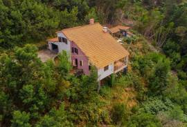 2+1 Bedroom Farm in Camacha: A Private Getaway with Unique Potential