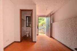 2+1 Bedroom Farm in Camacha: A Private Getaway with Unique Potential