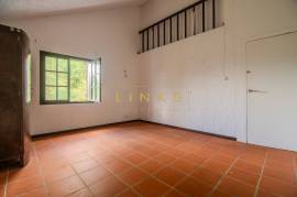 2+1 Bedroom Farm in Camacha: A Private Getaway with Unique Potential