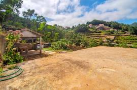 2+1 Bedroom Farm in Camacha: A Private Getaway with Unique Potential