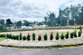 Urban land for urban construction with an area of 610.50 m2 inserted in a residential and quiet area of the village of Vieira de Leiria, close to schools, shops, and health center, located about 3 km from Praia da Vieira. Urban land for urban construction with an area of 610.50 m2 inserted in a residential and quiet area of the village of Vieira de Leiria, close to schools, shops, and health center, located about 3 km from Praia da Vieira.