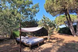 A Lovely Countryside House Setting In The Heart Of The Vineyards, Set On 4000 M2 Of Land With A Swimming Pool And Close To All Amenities. A Lovely Countryside House Setting In The Heart Of The Vineyards, Set On 4000 M2 Of Land With A Swimming Pool And Close To All Amenities.