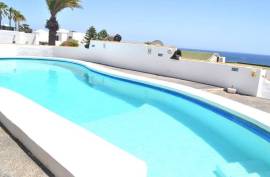 New Listing Bungalow + Studio + Pool.