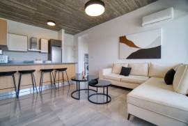Modern 1 Bedroom Apartment - Center Paphos