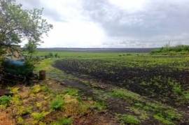 Spacious Regulated Plot of Land (2,400 sq.m.) for Sale in the Village of Svoboda, Dobrich Municipality