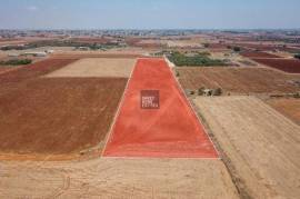 Agricultural Field in Avgorou