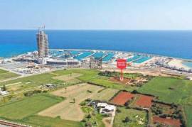 Touristic Field Share in Agia Napa Marina