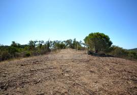 Large Plot with Ruin