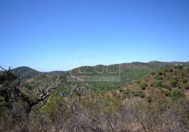 Large Plot with Ruin