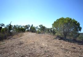 Large Plot with Ruin