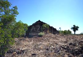 Large Plot with Ruin