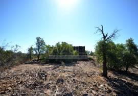 Large Plot with Ruin