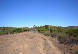 Large Plot with Ruin