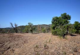 Large Plot with Ruin