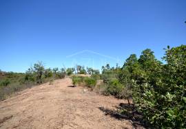 Large Plot with Ruin