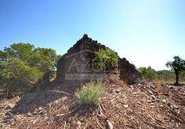 Large Plot with Ruin